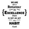 We Are What We Repeatedly Do. Excellence Then Is Not An Act But A Habit. -Aristotle wall quotes vinyl lettering wall decal home decor sticker philosopher stick with it motivational office  
