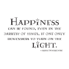 Happiness can be found, even in the darkest of times, if only one remembers to turn on the light. -Albus Dumbledore