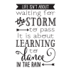 life ins't about waiting for the storm to pass it's about learning to dance in the rain