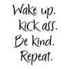 Wake up . Kick Ass. Be kind. Repeat. 