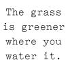 The grass is greener where you water it wall quotes vinyl lettering wall decal home decor vinyl stencil improvement work at it