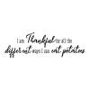 I am thankful for all the different ways I can eat potatoes wall quotes vinyl lettering wall decal home decor vinyl stencil kitchen funny humor