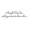 I thought I knew love until you came into this world wall quotes vinyl lettering wall decal country music lyrics zac brown band nursery kids 