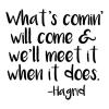 What’s comin’ will come and we’ll meet it when it does. -Hagrid wall quotes vinyl lettering wall decal home decor vinyl stencil kids children harry potter future