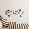 Never Grow Up ( arrows )