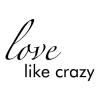 Love Like Crazy wall quotes vinyl lettering wall decal country music lyrics lee brice loving true love wedding marriage anniversary first dance song