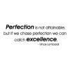 Perfection is not attainable, but if we chase perfection we can catch excellence. -Vince Lombardi