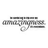 Be careful not to trip over my amazingness. It's everywhere. wall quotes vinyl lettering wall decal office decor home office professional workspace workplace 