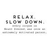 Relax. Slow Down. Every corpse on Mount Everest was once an extremely motivated person. wall quotes vinyl lettering wall decal home decor vinyl stencil office professional funny motivation desk work space
