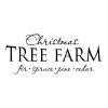 Christmas Tree Farm fir spruce pine cedar wall quotes vinyl lettering wall decal xmas seasonal holiday vintage 