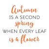 Autumn is a second spring when every leaf is a flower wall quotes vinyl lettering wall decal home decor vinyl stencil seasonal fall leaves