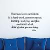 Success is no accident, it is hard work, perseverance, learning, studying, sacrifice, and most of all. love of what you are doing  -Pele