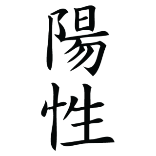 Music Chinese Symbol Wall Quotes™ Wall Art Decal