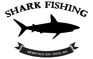 Shark Fishing Wall Quotes™ Decal | WallQuotes.com